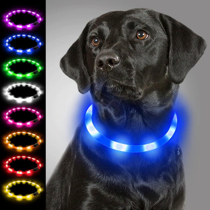 Collier Lumineux Chien, Collier De Chien Rechargeable USB, Clignotant LED Collier Avec 3 Modes De Sécurité Réglables Pour Petits, Moyens Et Grands Chiens, Bleu