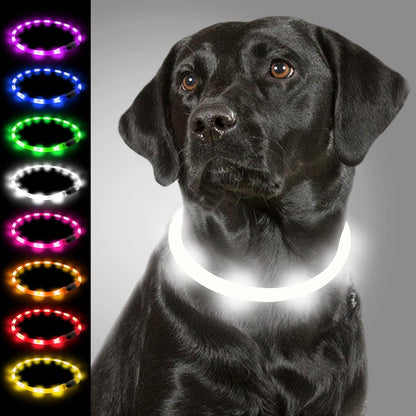 Collier Lumineux Chien, Collier De Chien Rechargeable USB, Clignotant LED Collier Avec 3 Modes De Sécurité Réglables Pour Petits, Moyens Et Grands Chiens, Bleu