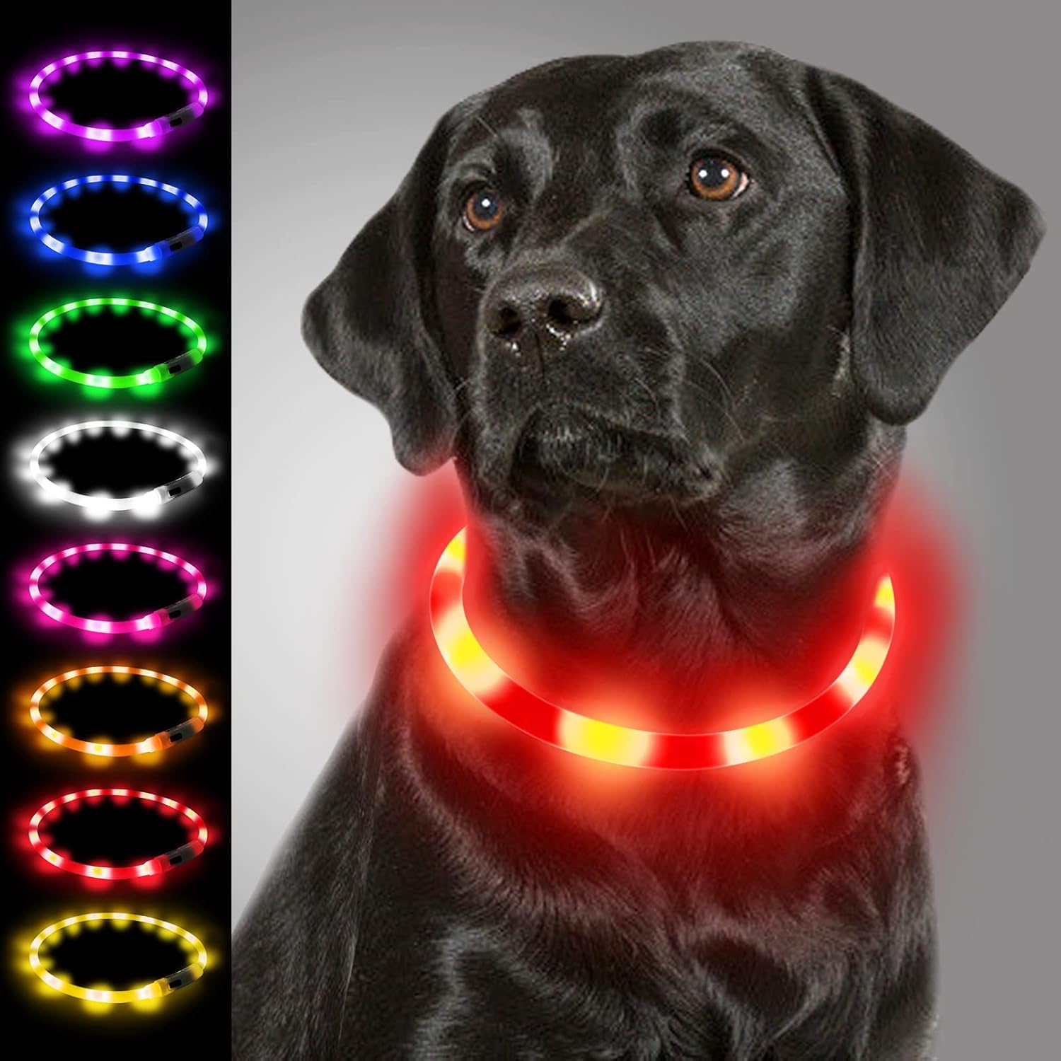 Collier Lumineux Chien, Collier De Chien Rechargeable USB, Clignotant LED Collier Avec 3 Modes De Sécurité Réglables Pour Petits, Moyens Et Grands Chiens, Bleu