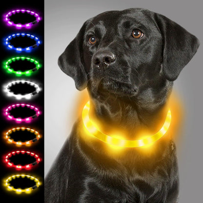 Collier Lumineux Chien, Collier De Chien Rechargeable USB, Clignotant LED Collier Avec 3 Modes De Sécurité Réglables Pour Petits, Moyens Et Grands Chiens, Bleu