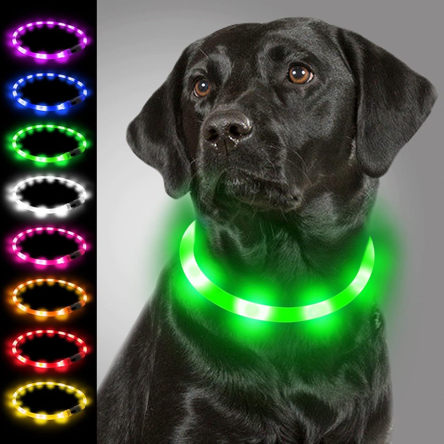 Collier Lumineux Chien, Collier De Chien Rechargeable USB, Clignotant LED Collier Avec 3 Modes De Sécurité Réglables Pour Petits, Moyens Et Grands Chiens, Bleu