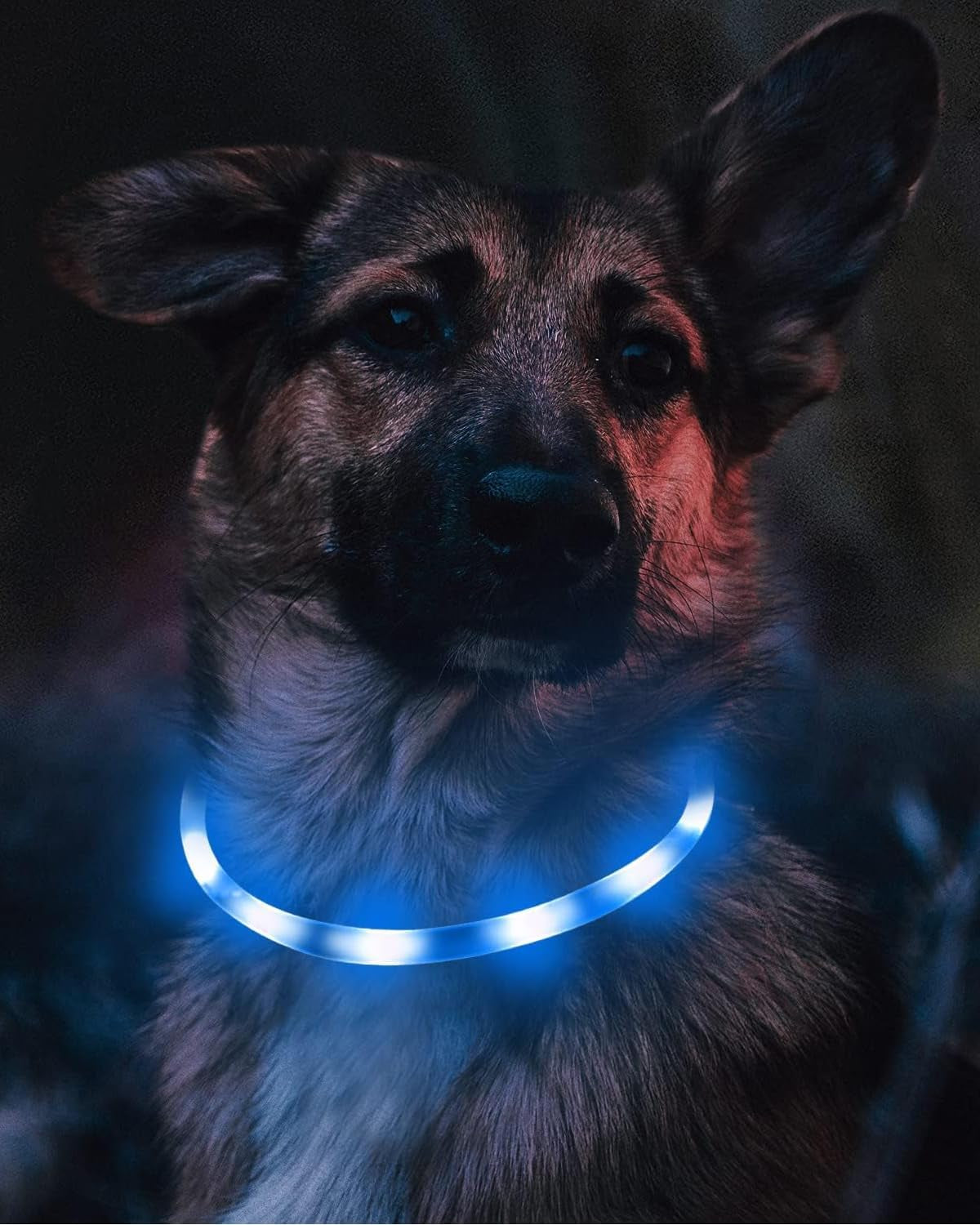 Collier Lumineux Chien, Collier De Chien Rechargeable USB, Clignotant LED Collier Avec 3 Modes De Sécurité Réglables Pour Petits, Moyens Et Grands Chiens, Bleu